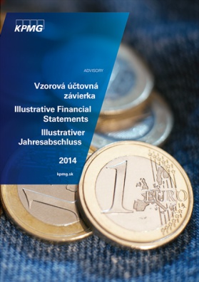 Vzorová účtovná závierka 2014