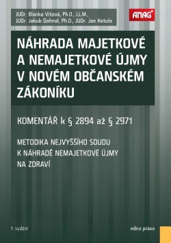 Náhrada majetkové a nemajetkové újmy v novém občanském zákoníku - komentář k § 2894 až § 2971